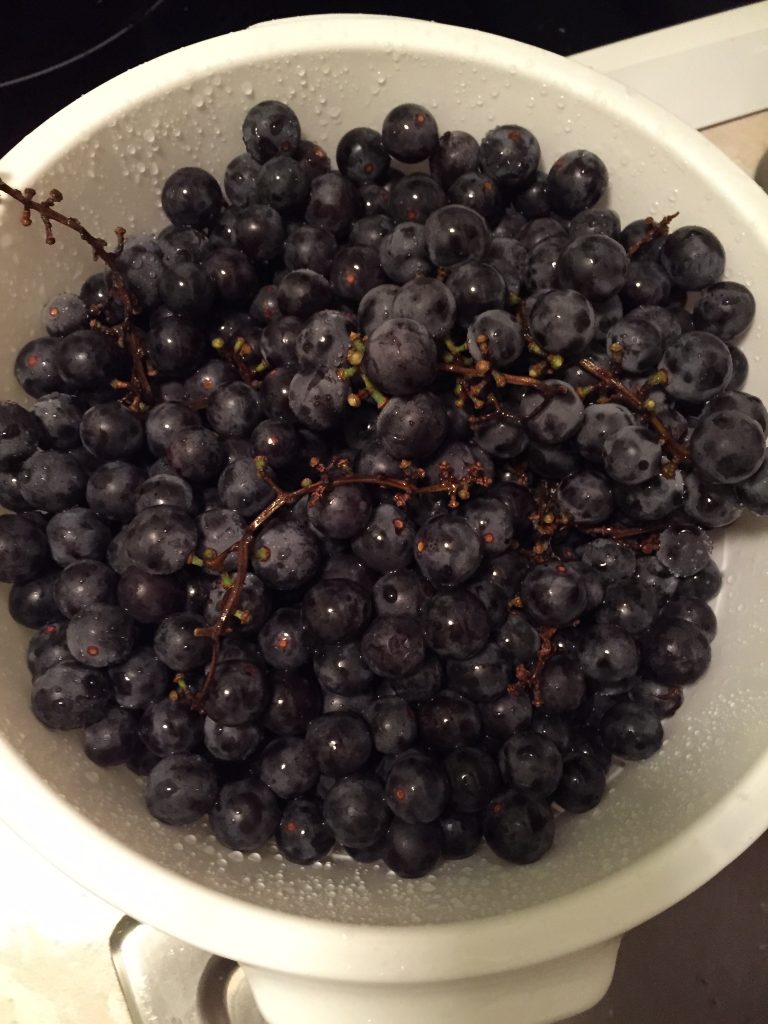 10 Easy Steps to Making Grape Jam Kimberly Kweder